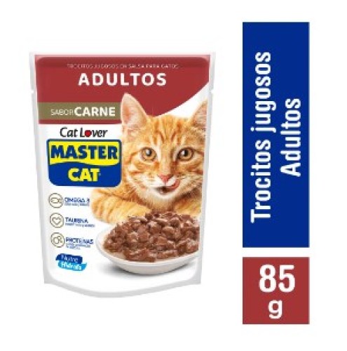 Master cat sachet trocitos jugosos en salsa carne 85g